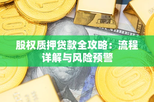 北京股权质押贷款全攻略：流程详解与风险预警