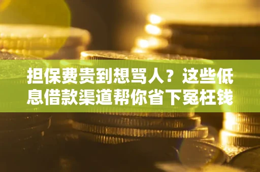 北京担保费贵到想骂人？这些低息借款渠道帮你省下冤枉钱
