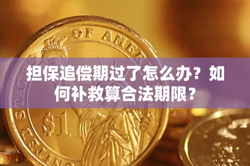 北京担保追偿期过了怎么办？如何补救算合法期限？