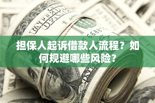 北京担保人起诉借款人流程？如何规避哪些风险？