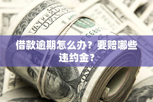 北京借款逾期怎么办？要赔哪些违约金？